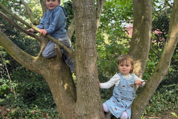 dn-forest-school-image5